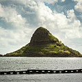 Chinaman's Hat Island