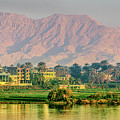 Morning Along the Nile